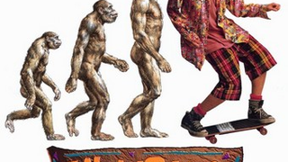 Cue The Toilet-Seat Jokes: Y Chromosome Evolving Rapidly